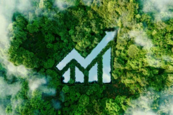 你图他收益，他图你本金！警惕非法金融活动陷阱